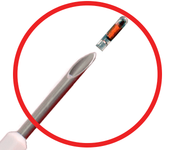 12mm Bio Polymer ISO FDX-B FUSION Microchip - Image 2