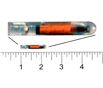 13mm Bio Polymer ISO FDX-B Microchip "Less Waste" Cannula Packs - Image 2
