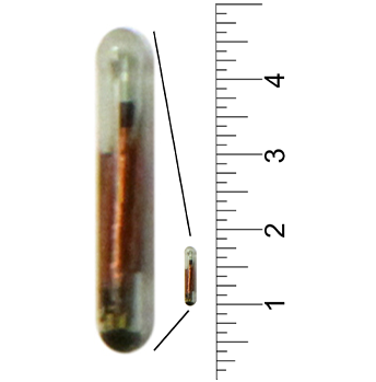 8mm Bio Glass ISO FDX-B Microchip Syringe Packs - Image 3